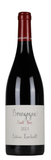 2021 Domaine Antoine Lienhardt Bourgogne Pinot Noir