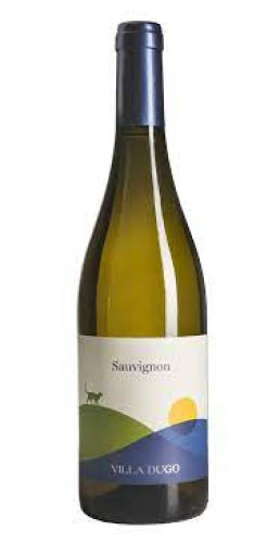 2022 Fiegl Sauvignon Blanc Villa Dugo