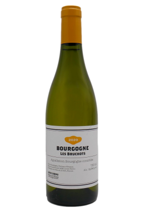 2020 Domaine Louis Chenu et Filles Bourgogne Blanc 'Les Bruchots'