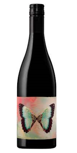 2021 Adelina Cabernet Franc