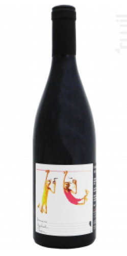 2020 Domaine Raphael Chopin Beaujolais 'Funambule'