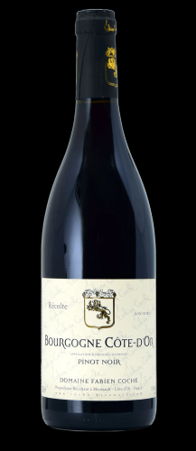2019 Domaine Fabien Coche Bourgogne Pinot Noir