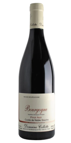 2020 Domaine Collotte Cuvée de Noble Souche Bourgogne Rouge