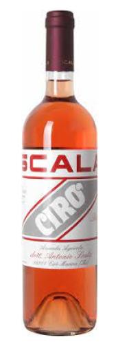 2021 Scala Ciro Rosato